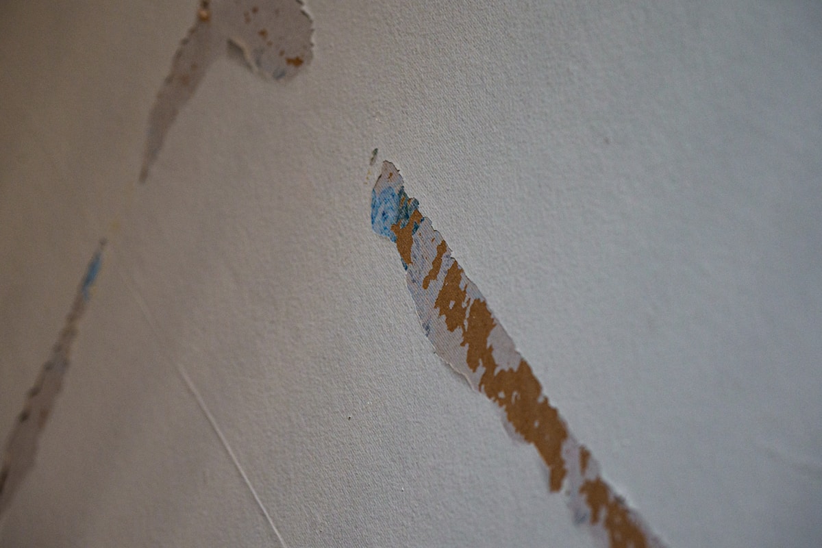 Basement Water Removal service in Rocklin, CA